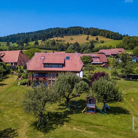 Appartement Schwarzwaldliebe à Frohnd Extérieur photo