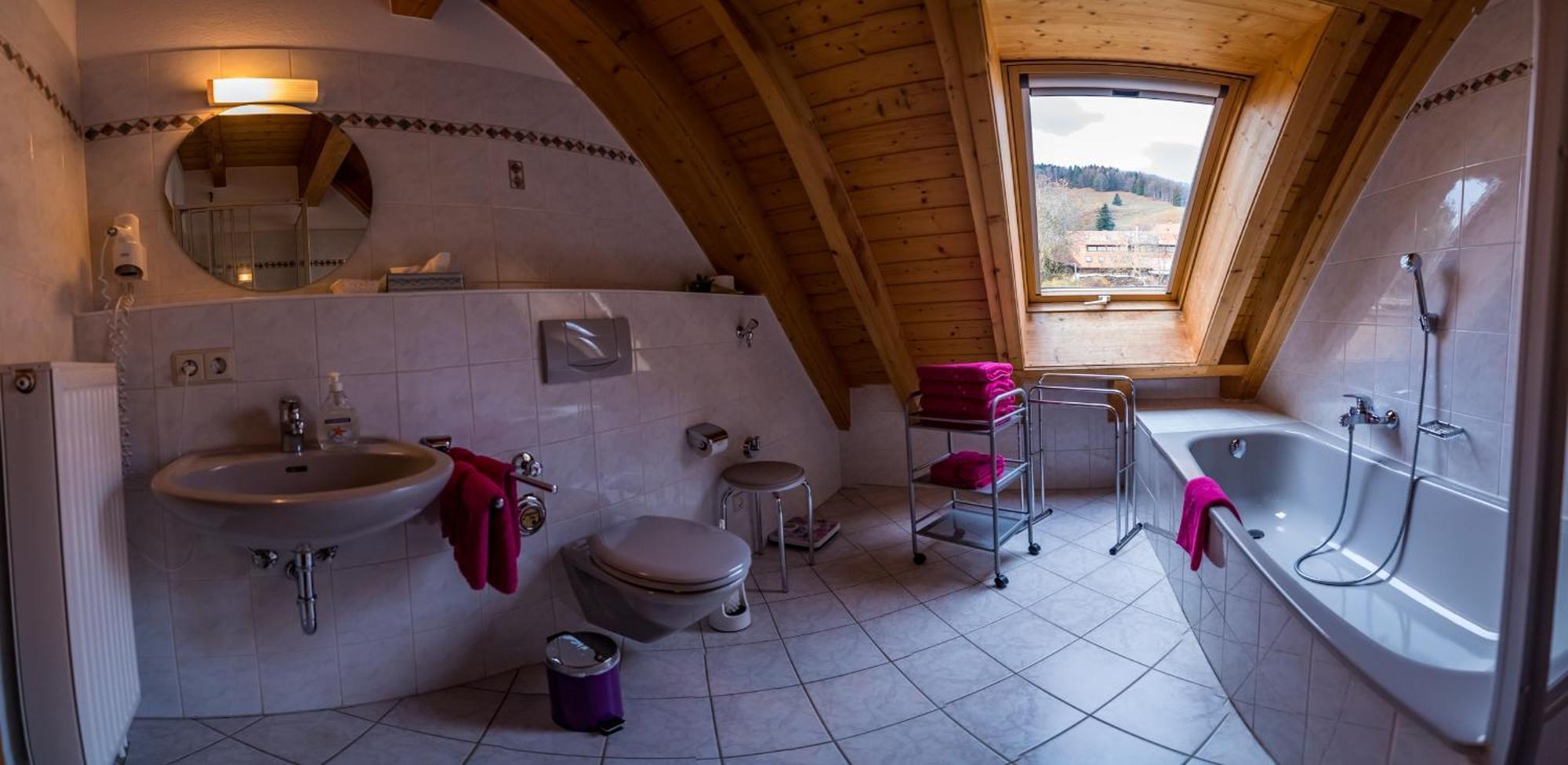 Appartement Schwarzwaldliebe à Frohnd Extérieur photo