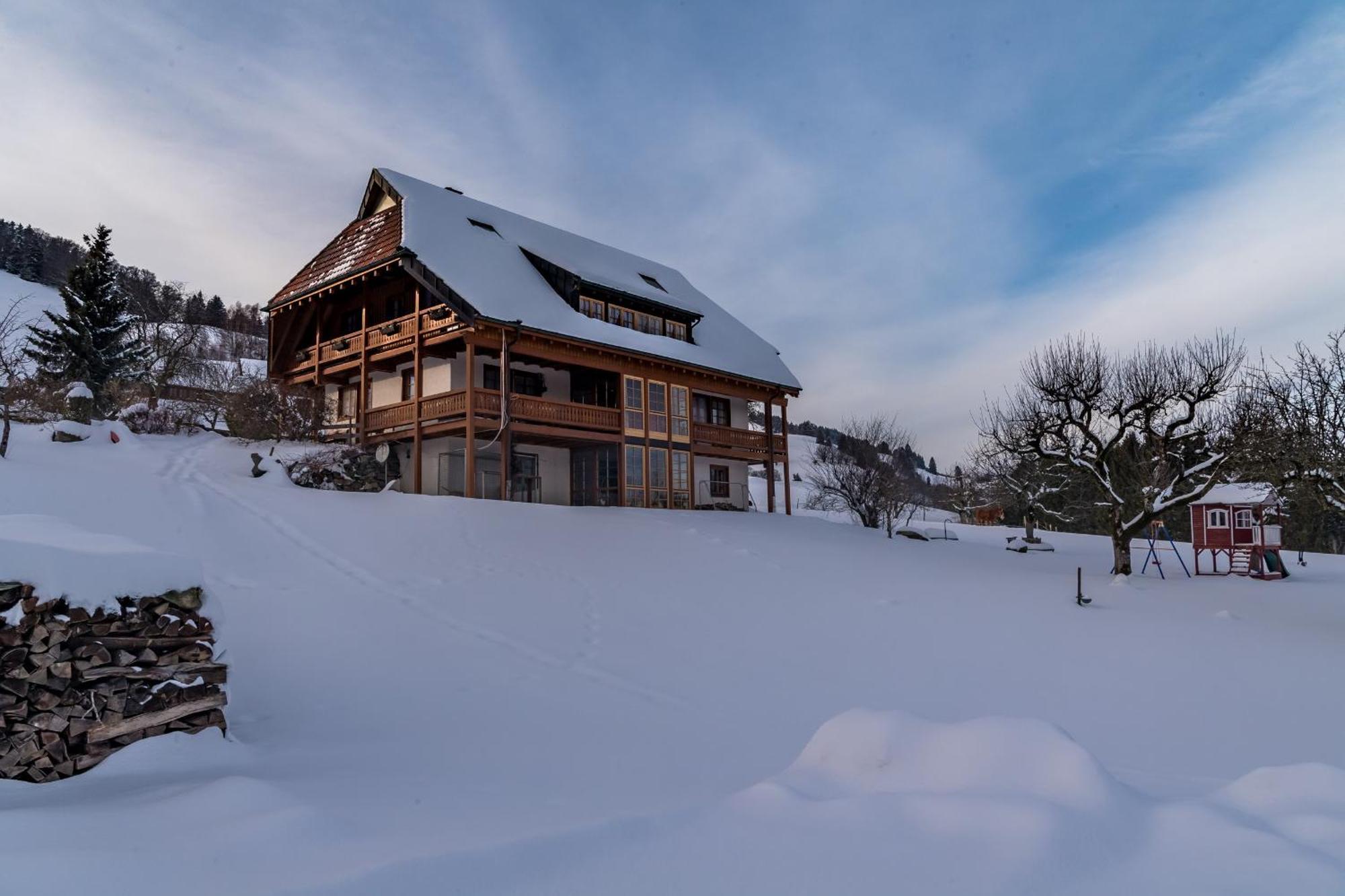 Appartement Schwarzwaldliebe à Frohnd Extérieur photo