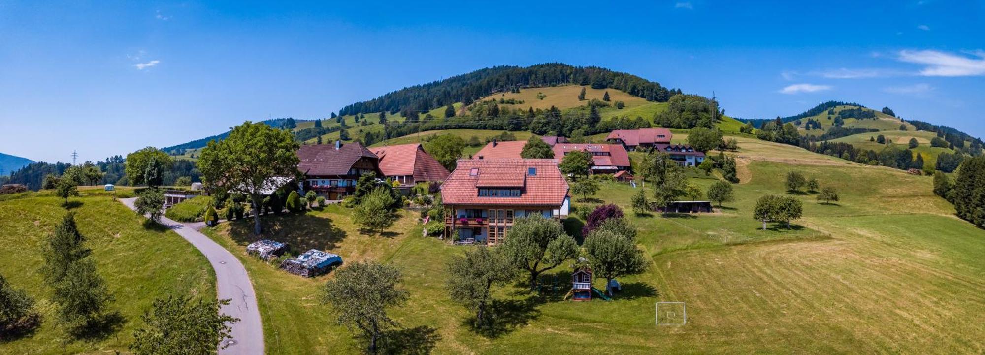 Appartement Schwarzwaldliebe à Frohnd Extérieur photo