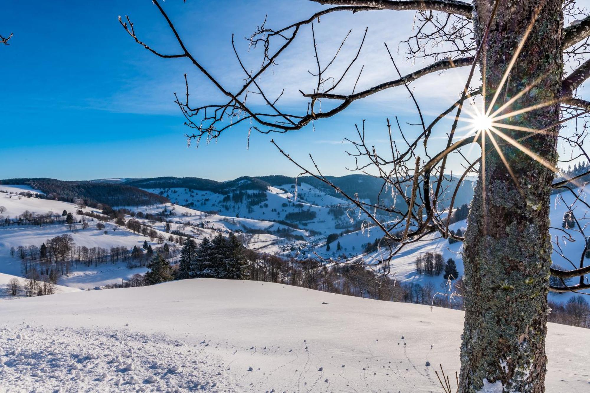 Appartement Schwarzwaldliebe à Frohnd Extérieur photo