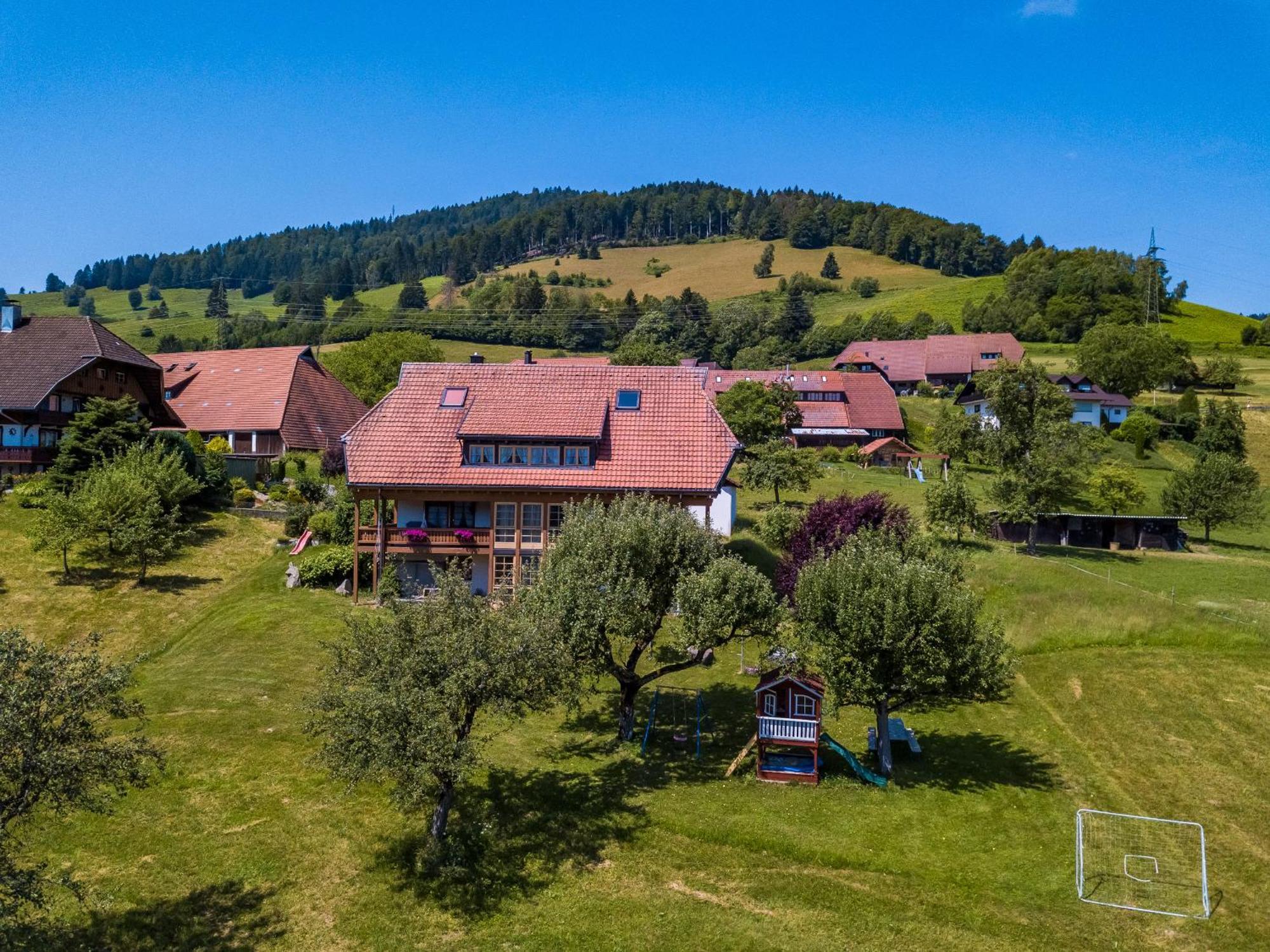 Appartement Schwarzwaldliebe à Frohnd Extérieur photo
